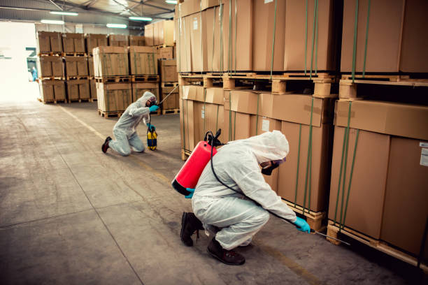 Best Pest Prevention Services  in Norristown, PA