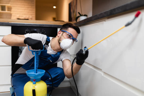 Best Local Pest Control Services  in Norristown, PA
