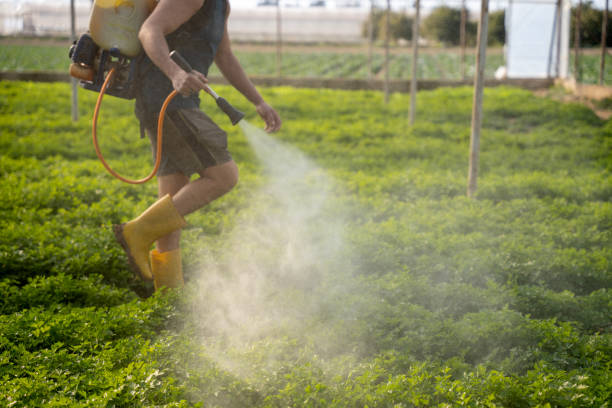 Professional Pest Control in Norristown, PA