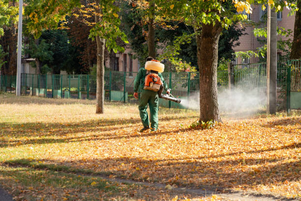 Best Pest Removal Services  in Norristown, PA